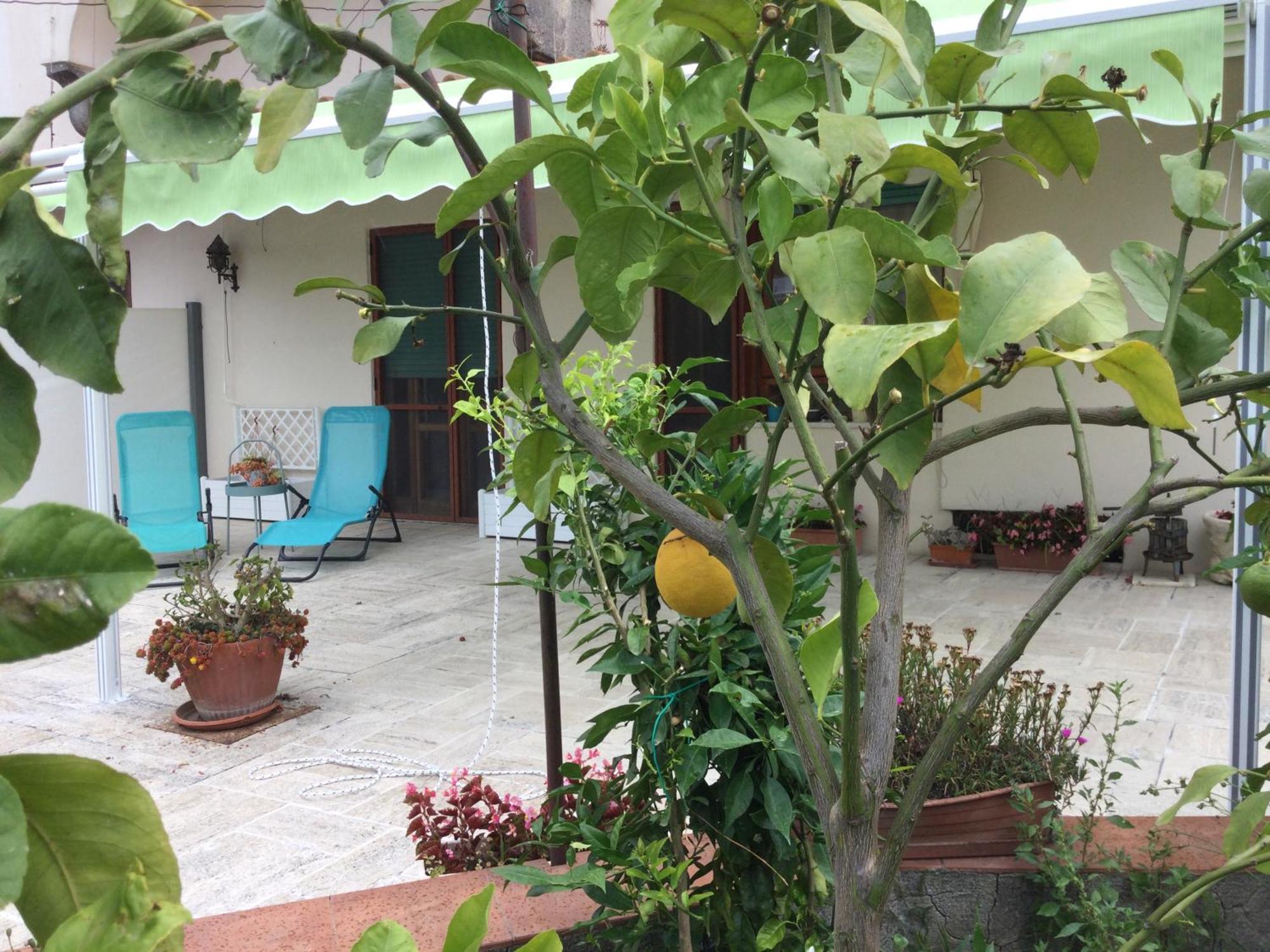 Oplontis' Garden - Holiday Apartment Near Pompeii Torre Annunziata Extérieur photo
